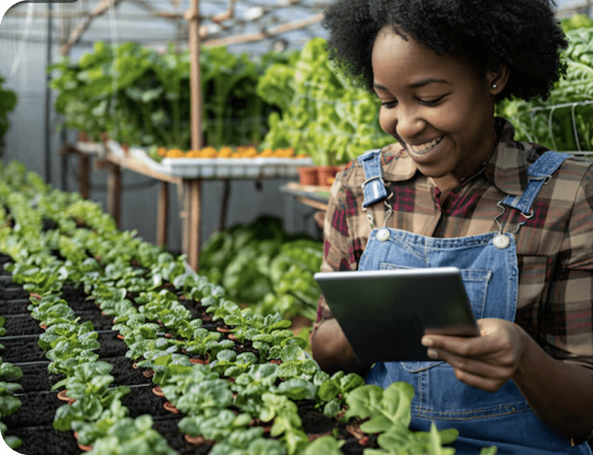 Youth Development & Digital Inclusion