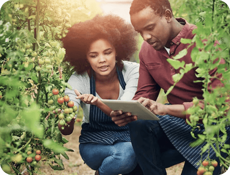 Youth & Digital Inclusion